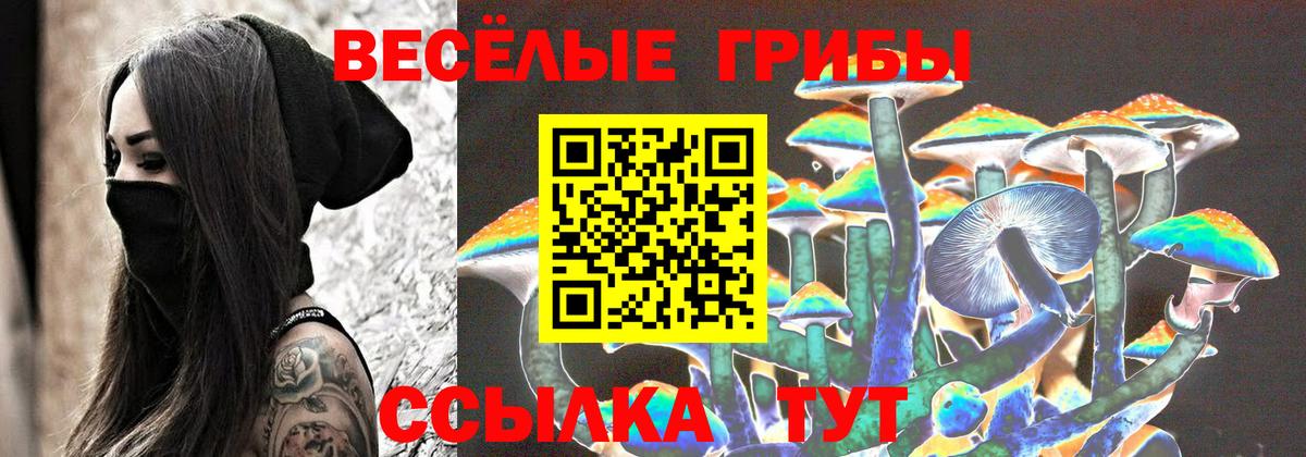 Галлюциногенные грибы MAGIC MUSHROOMS Новороссийск